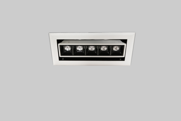 ADJUSTABLE FRAME DOWNLIGHT